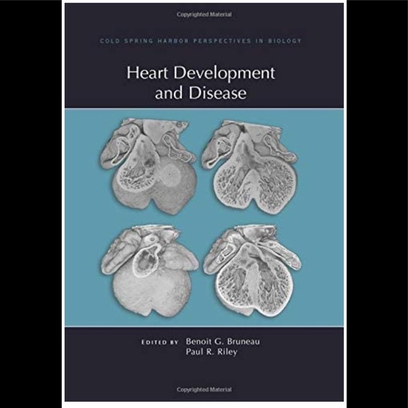 Heart‎ Development and Disease (Perspectives CSHL) - Picture 1 of 4